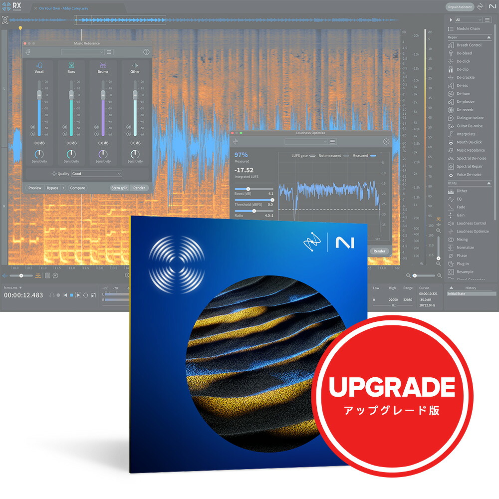 iZotope RX 11 Standard: Upgrade from any previous version of RX Standard, RX Advanced, or RX Post Production Suite [メール納品]