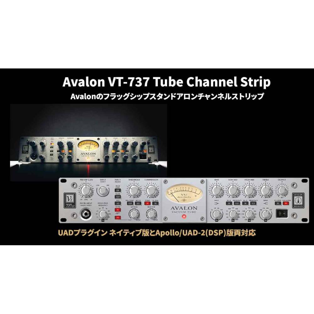 UNIVERSAL AUDIO Avalon VT-737 Tube Channel Strip [メール納品]