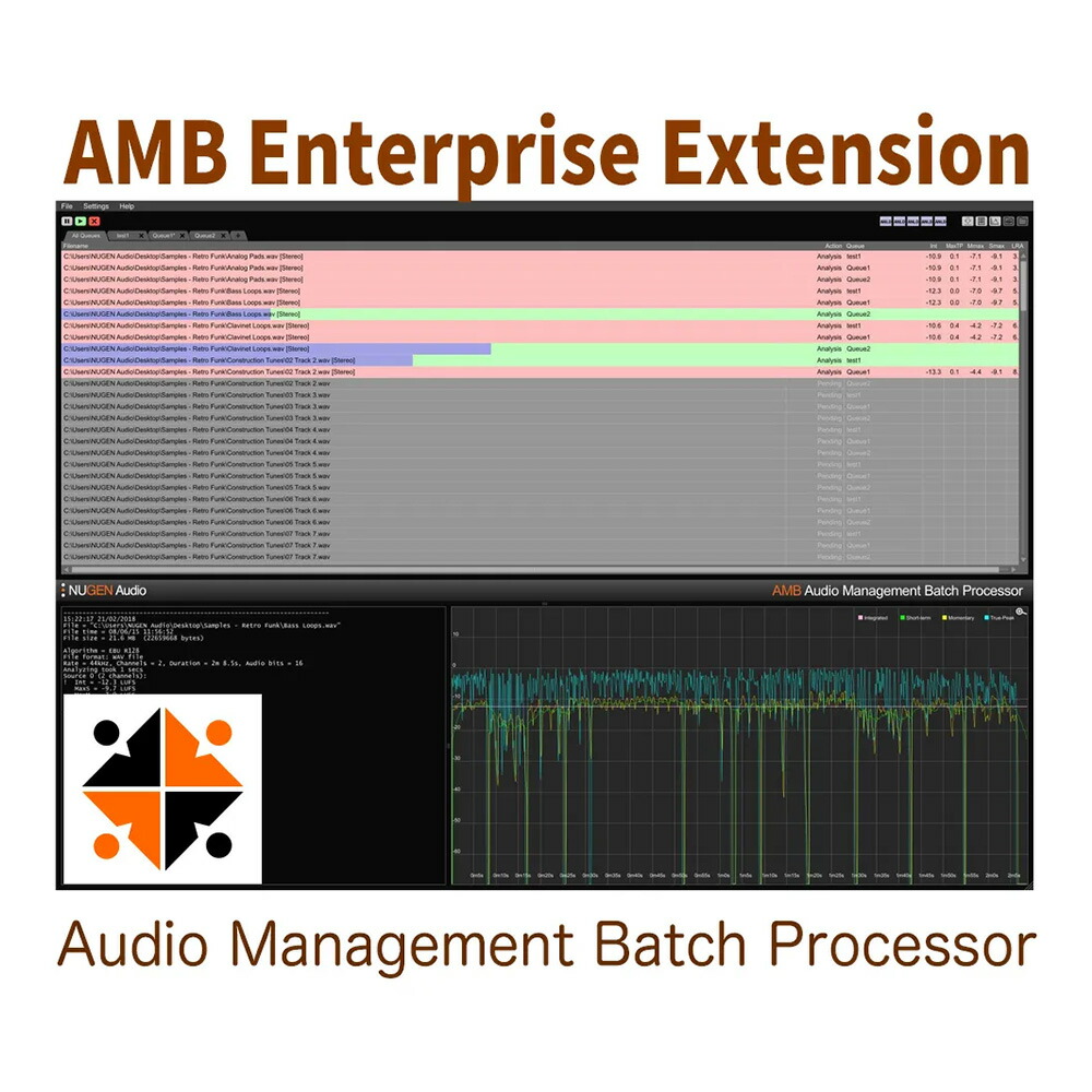 NUGEN Audio AMB Enterprise Extension [メール納品]