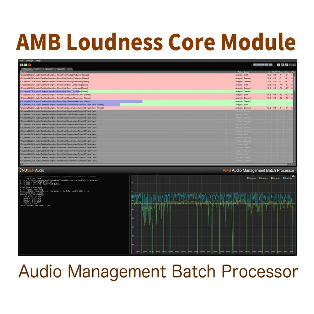 NUGEN Audio AMB Loudness Core Module [メール納品]