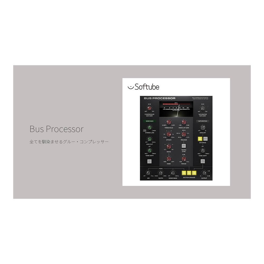 Softube Bus Processor [メール納品]