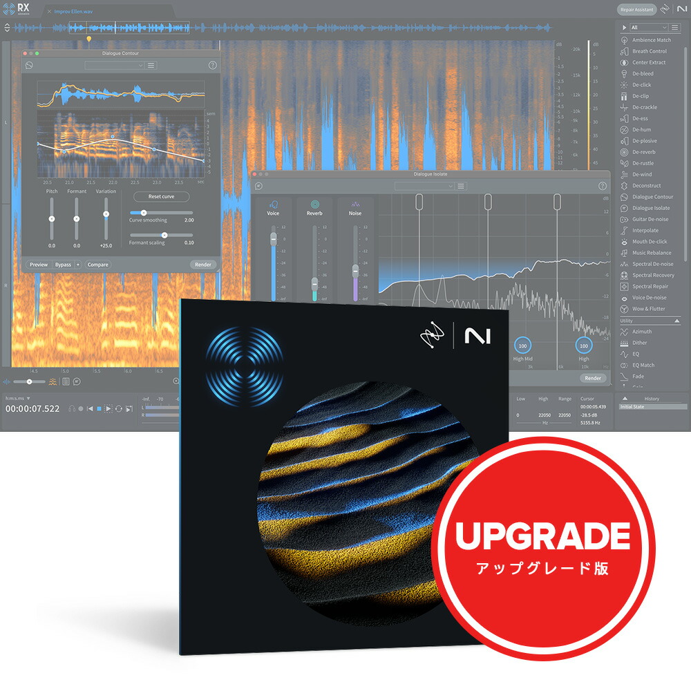 iZotope RX 11 Advanced: Upgrade from any previous version of RX Standard [メール納品]