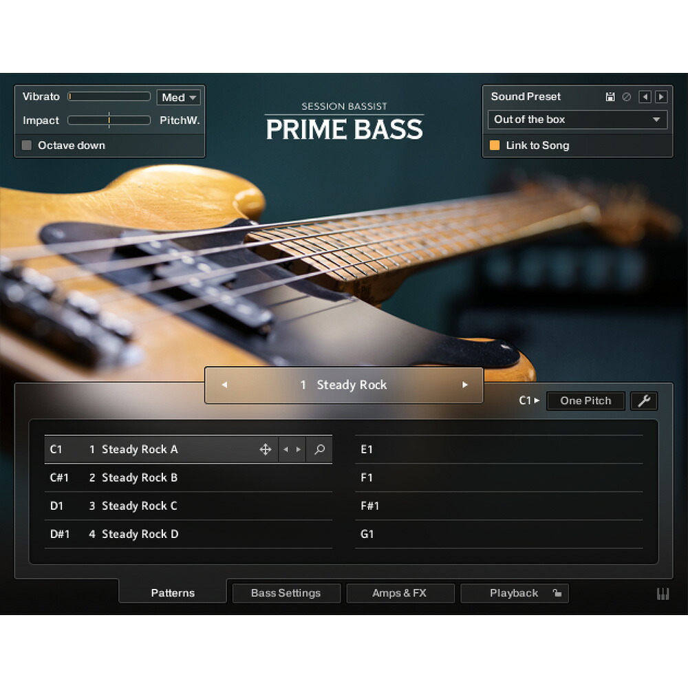 Native Instruments Session Bassist - Prime Bass [メール納品]