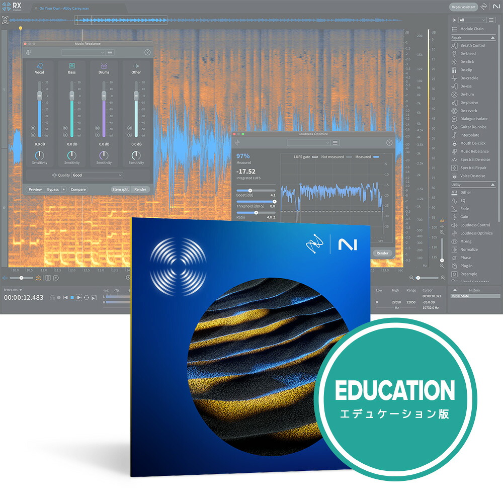 iZotope RX 11 Standard EDU [メール納品]