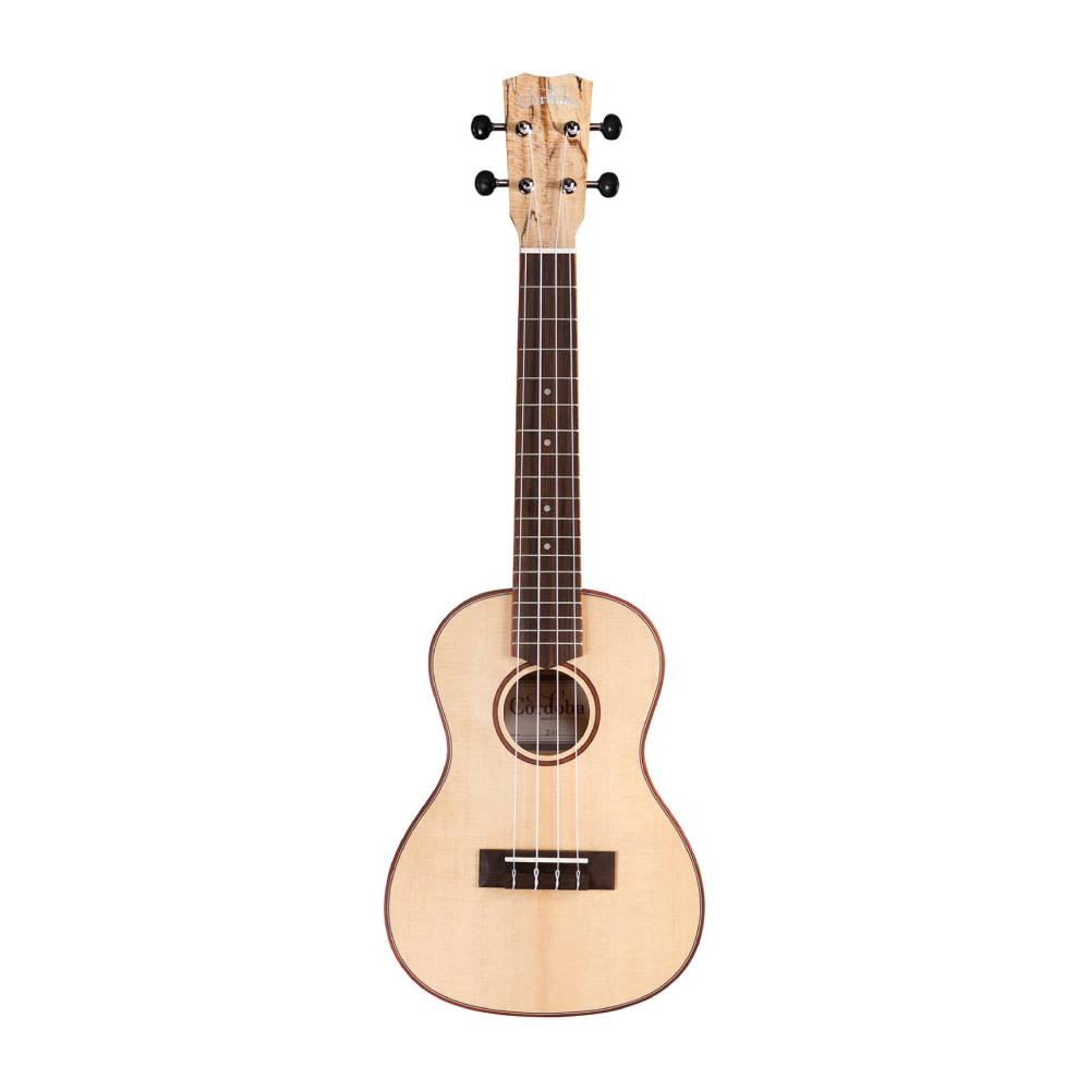 Cordoba 24C Spruce / NATURAL