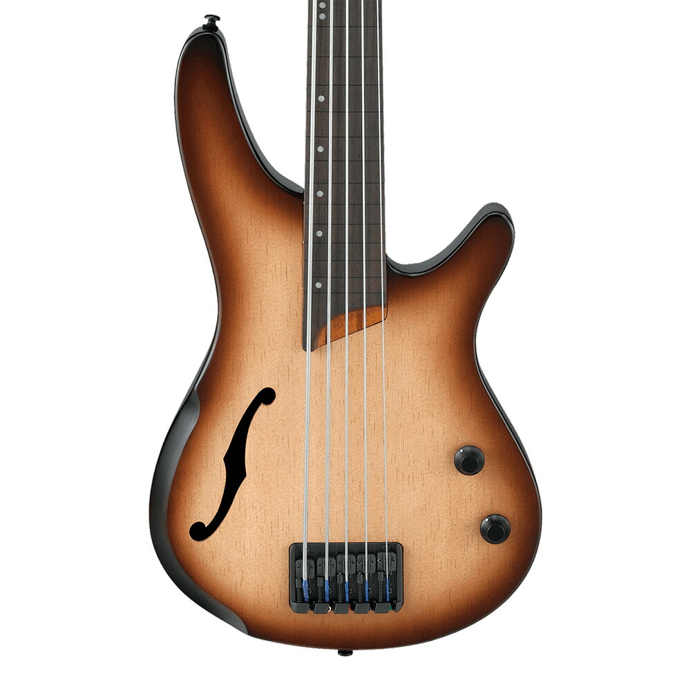 Ibanez Bass Workshop SRH505F-NNF (Natural Browned Burst Flat)