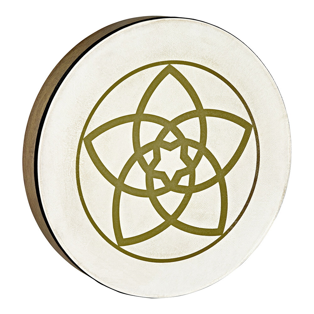 MEINL Sonic Energy 16\