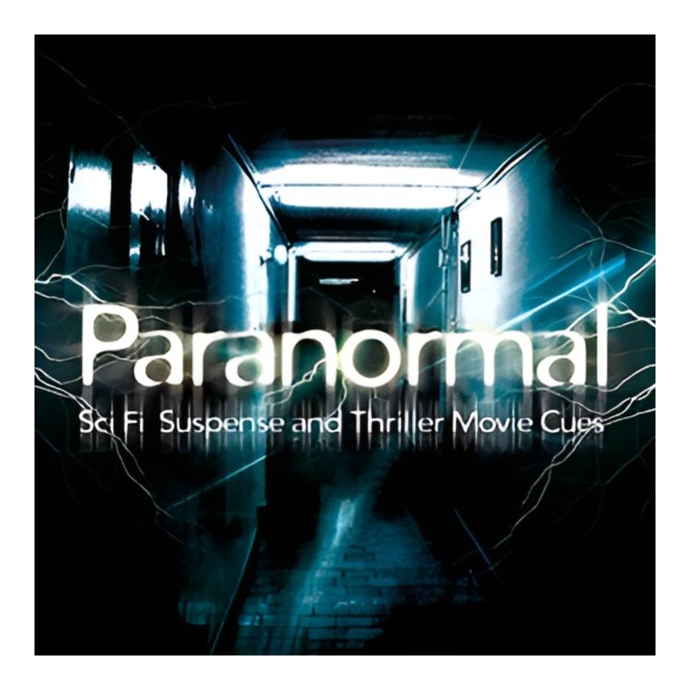 BIG FISH AUDIO PARANORMAL [メール納品]｜ミュージックランドKEY EAST