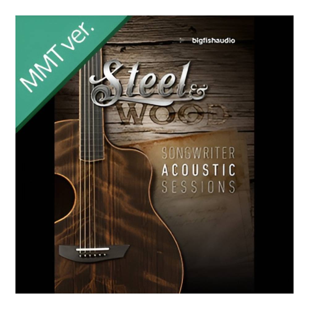 BIG FISH AUDIO STEEL & WOOD MMT [メール納品]｜ミュージックランドKEY EAST 17,167円