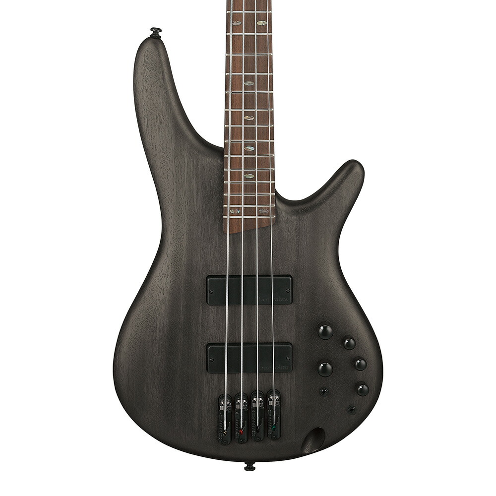 Ibanez SR Standard SR500A-TGF (Transparent Gray Flat)｜ミュージックランドKEY EAST