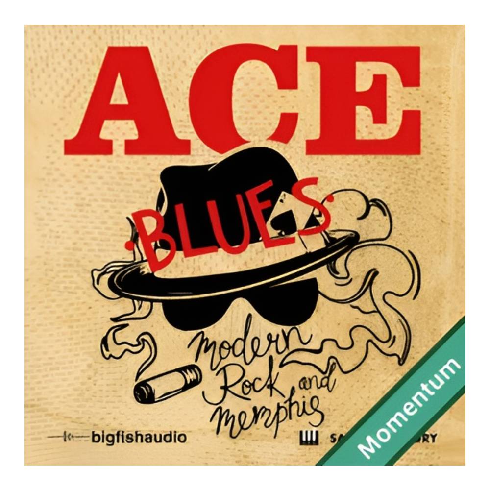BIG FISH AUDIO MODERN ROCK AND MEMPHIS BLUES MMT [メール納品]｜ミュージックランドKEY EAST