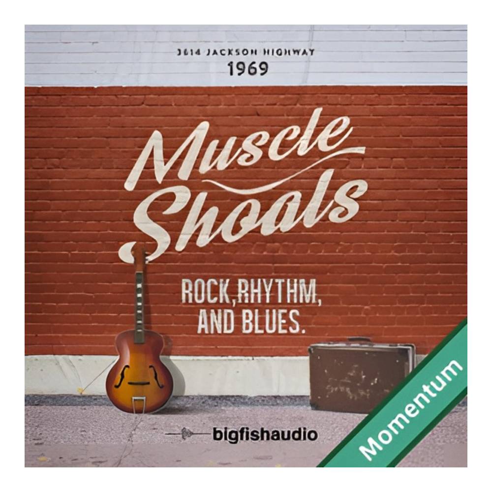 BIG FISH AUDIO MUSCLE SHOALS MMT [メール納品]｜ミュージックランドKEY EAST