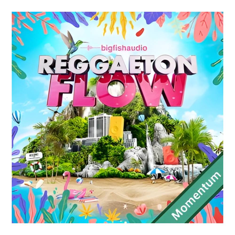 BIG FISH AUDIO REGGAETON FLOW MMT [メール納品]｜ミュージックランドKEY EAST