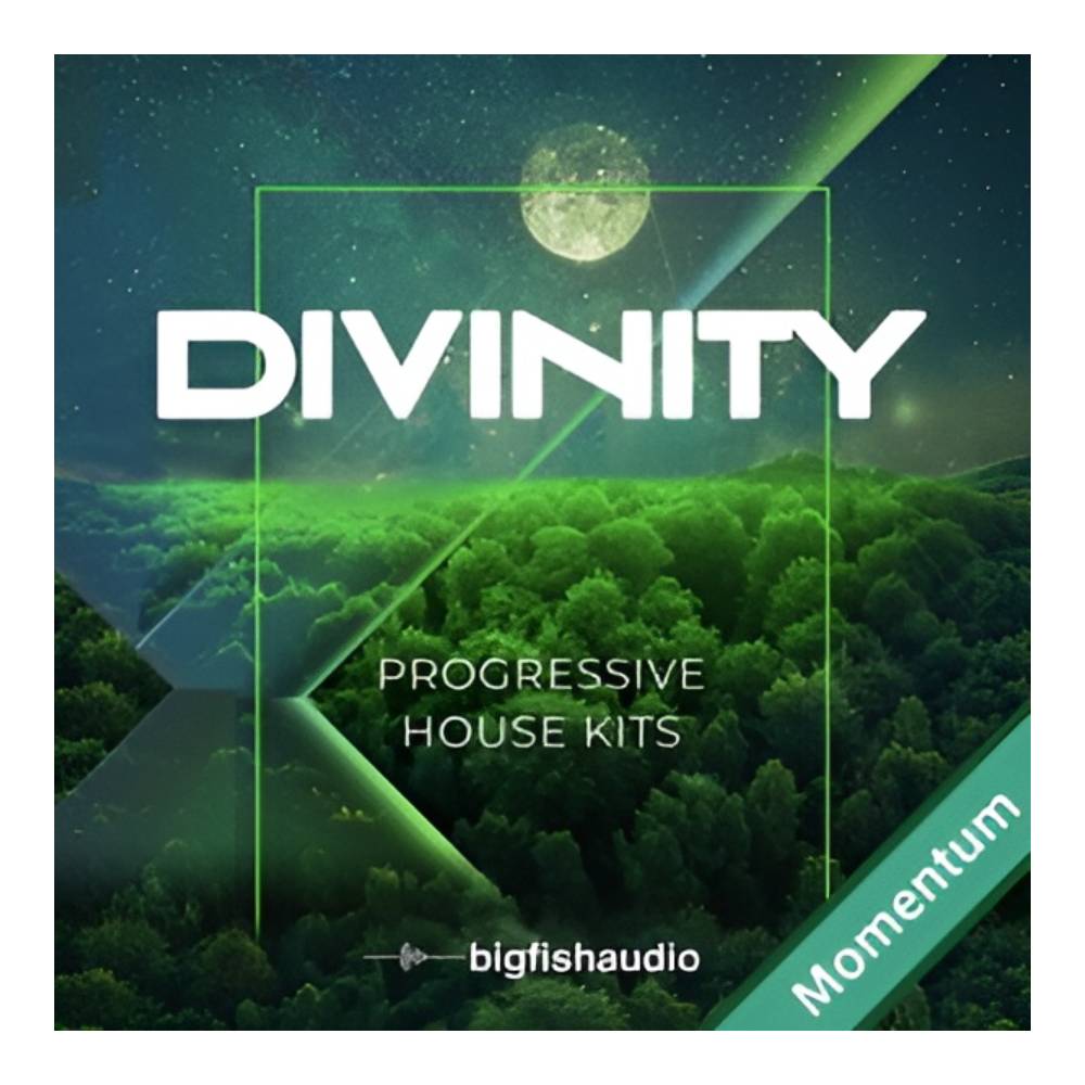 BIG FISH AUDIO DIVINITY - PROGRESSIVE HOUSE KITS MMT [メール納品]｜ミュージックランドKEY EAST 17,399円