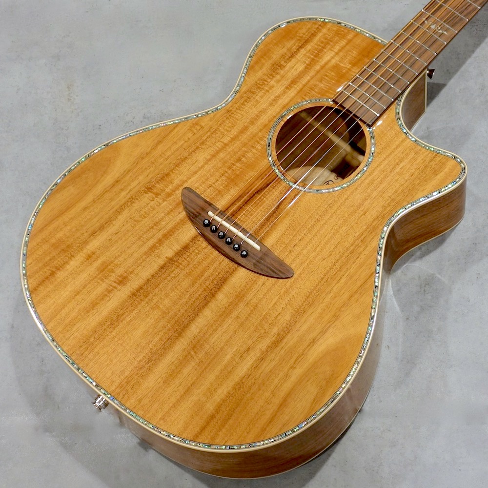 DCT Japan エレアコ GR-641K CE | MUSICLAND KEY -楽器-