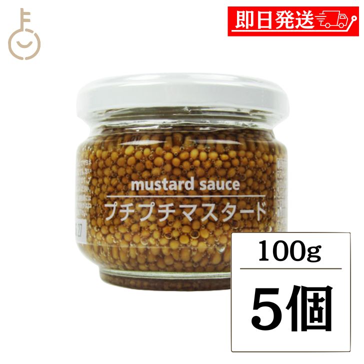 【マラソン限定！最大2000円OFF】 マスタード ファインドニューズ プチプチマスタード 100g 5個 粒マスタード 大粒 粒 つぶ トッピング ぷちぷち つぶつぶ 食感 サラダ ソーセージ ステーキ 刺身 和風 洋食 様々な料理にアクセントを 加える豊かな風味 瓶 びん ビン