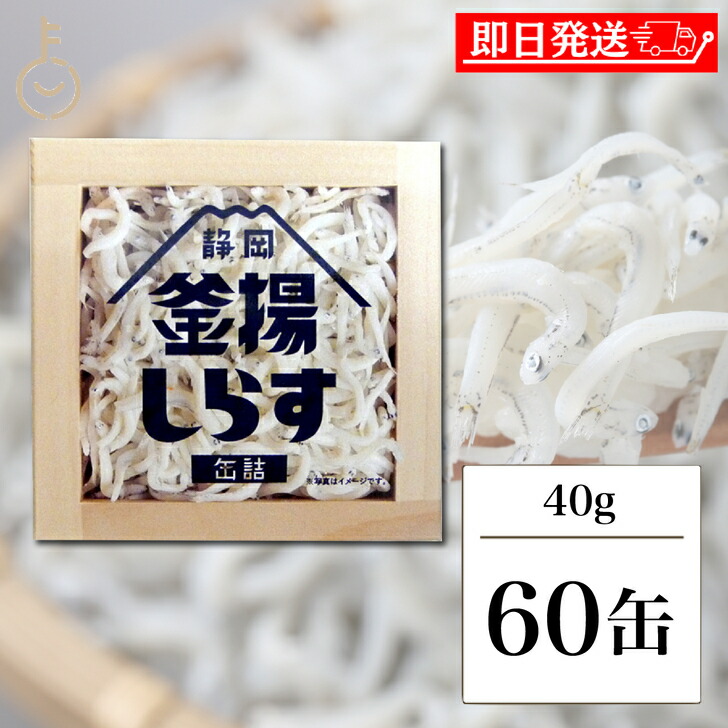 【マラソン限定！最大2000円OFF】 静岡釜揚しらす缶詰 40g 60缶入 山梨罐詰 静岡釜揚しらす 缶詰 静岡 名産品 シラス 駿河湾 おつまみ つまみ おかず 釜揚 かまあげ しらす シラス 釜揚しらす カンヅメ かんづめ 静岡産 トッピング アレンジ 送料無料 ランキング
