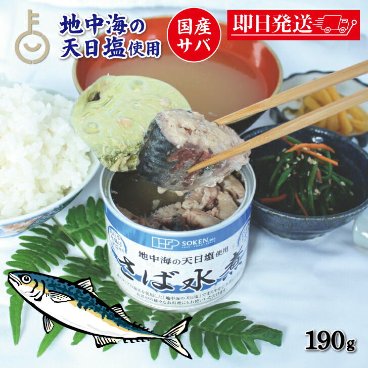楽天市場】【レビュー投稿で500円OFFクーポン】 缶詰 非常食 さば