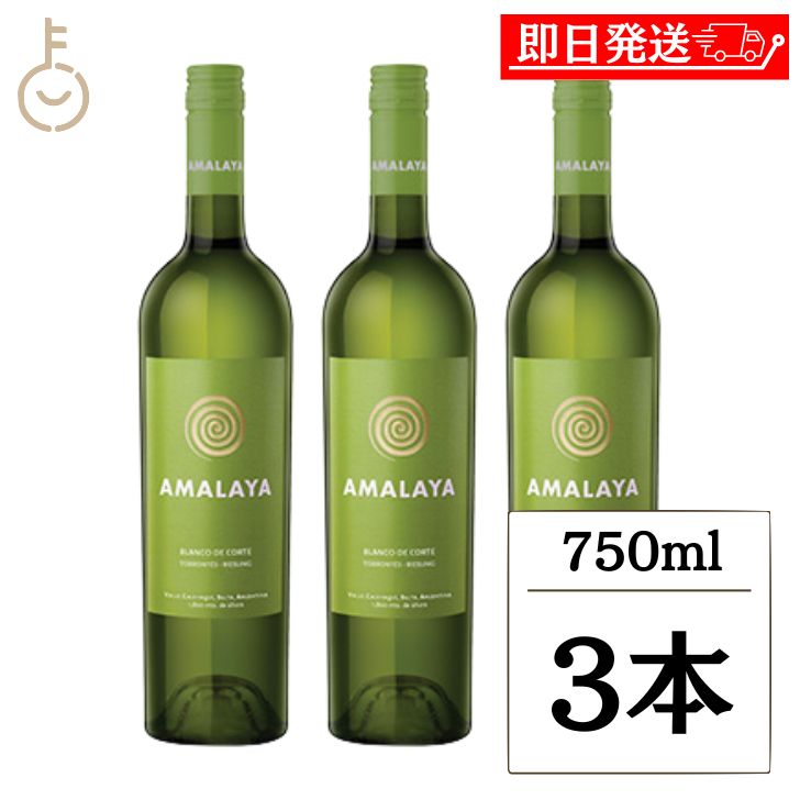 【レビュー投稿で500円OFFクーポン】 ヴィレッジ セラーズ アマラヤ ホワイト S23 750ml 3本 白ワイン ワイン 酒 果実酒 辛口 アルゼンチン ランキング 業務用 大容量 送料無料2026 ポイント消化 福袋