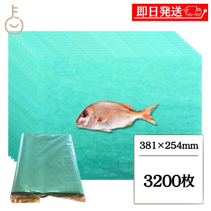 【レビュー投稿で500円OFFクーポン】 グリーンパーチ紙 100枚 8切 381mm&times;254mm 32個 キッチンペーパー ペーパータオル コンパクト 浜田紙業 魚を包む緑の紙 魚 緑の紙 グリーンパーチ紙 グリーンシート 青紙 吸水紙 保鮮紙 おさかなパックン 津本式 業務用 福袋｜keyroom 食と暮らしのパントリー