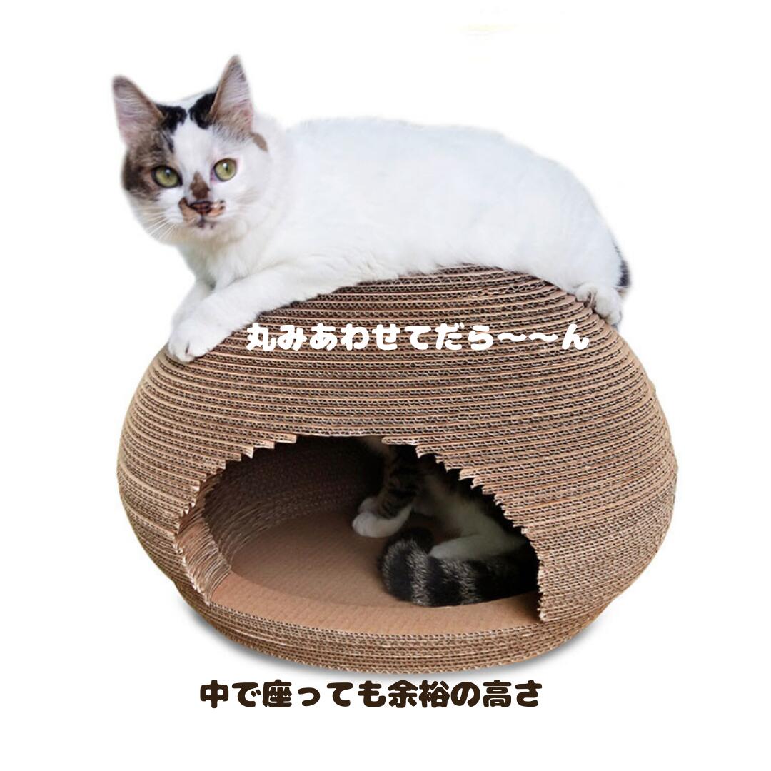 猫 トンネル 遊び場 ドーム 穴 穴倉 ダンボール 爪とぎ つめとぎ ベッド にゃんネイル かまくら ハウス おしゃれ 爪磨き 暖か ちぐら 省スペース ソファー ねこ 爪 かまくら風 猫ちぐら ねこちぐら 猫 おもちゃ 猫用品 しつけ septicin Com