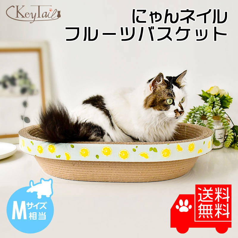 ホットセール 猫 爪とぎ ダンボール 爪研ぎ 猫鍋 猫なべ 猫どんぶり 爪磨き にゃんネイル フルーツバスケットM おしゃれ つめとぎ 省スペース ねこ  ネコの爪とぎ 爪みがき 爪 ベット ベッド ハウス お椀型 鍋 大きめ おもちゃ しつけ カリカリ 段ボール