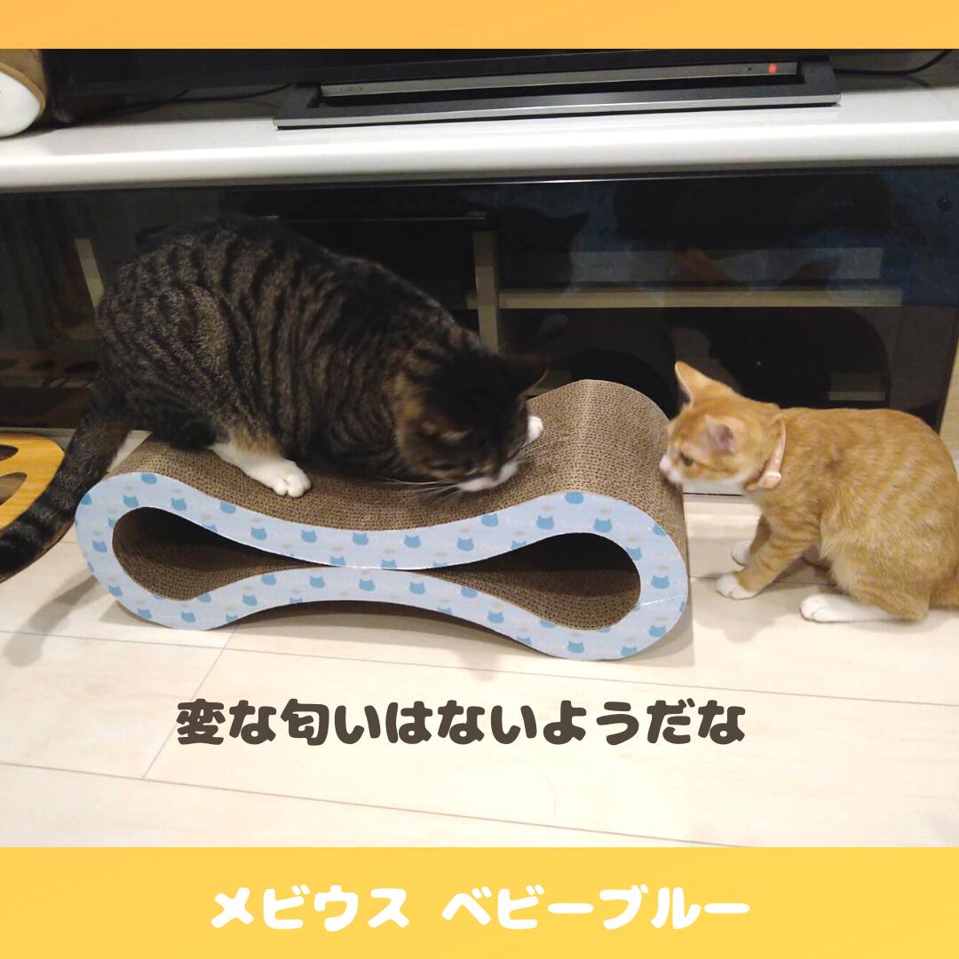楽天市場 猫 爪とぎ ダンボール キーテイル にゃんネイル メビウス オシャレ おすすめ しつけ ハウス ベッド 対策 段ボール 壁 防止 猫の爪とぎ ソファ おもちゃ グッズ ベビーピンク ピンク ベッド 爪研ぎ 爪磨き キャット ネコの爪とぎ ねこの爪とぎ 8の字型 段ボール