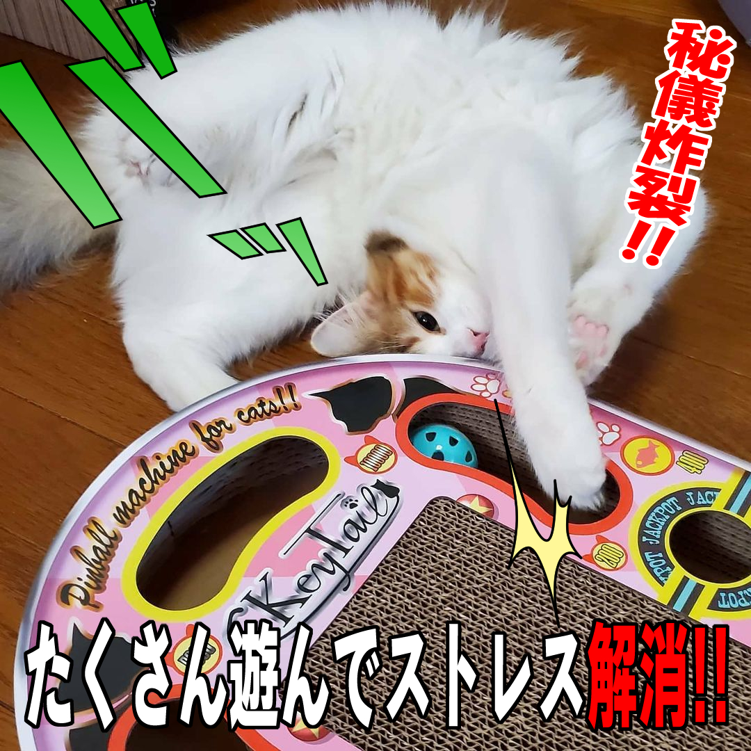 楽天市場 猫 爪とぎ オシャレ ダンボール にゃんネイル ピンボール つめとぎ おしゃれ コロコロ ボール 爪研ぎ おすすめ しつけ ハウス ベッド 段ボール 壁 猫の爪とぎ 爪とぎ防止 ソファ おもちゃ グッズ 紙 爪磨き キャット ネコ ねこ 猫用品 しつけ 猫の爪とぎ