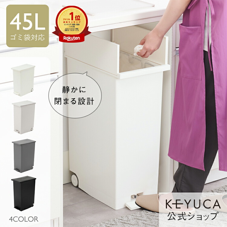 ケユカ KEYUCA両開きダストボックス LL（42L）ゴミ箱 2個セット imgrc0111829752.jpg