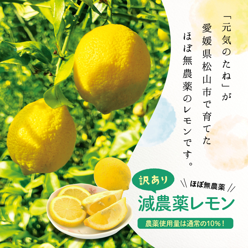 取寄商品 【クール便】無農薬レモン 加工用20kg 愛媛県産 - 通販