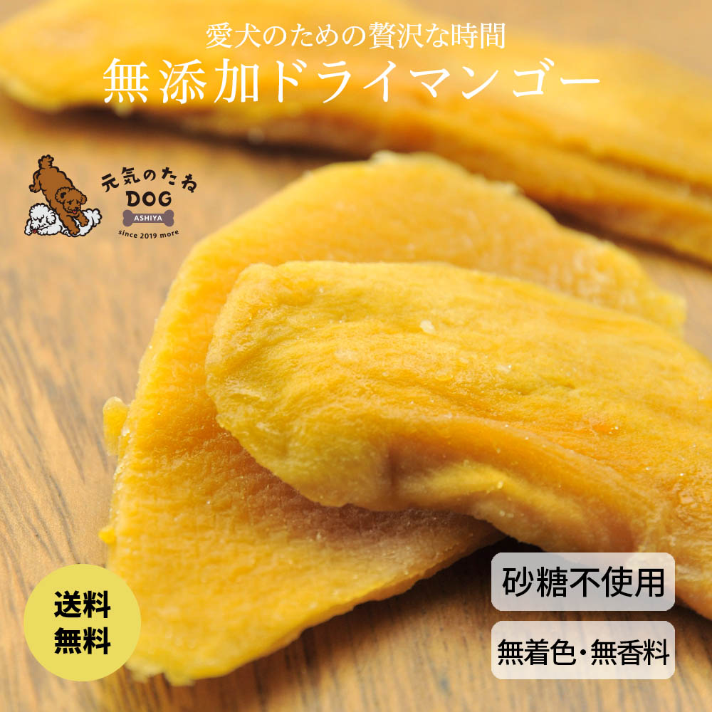 楽天市場】犬 おやつ 無添加 ドラゴンフルーツ 砂糖不使用 送料