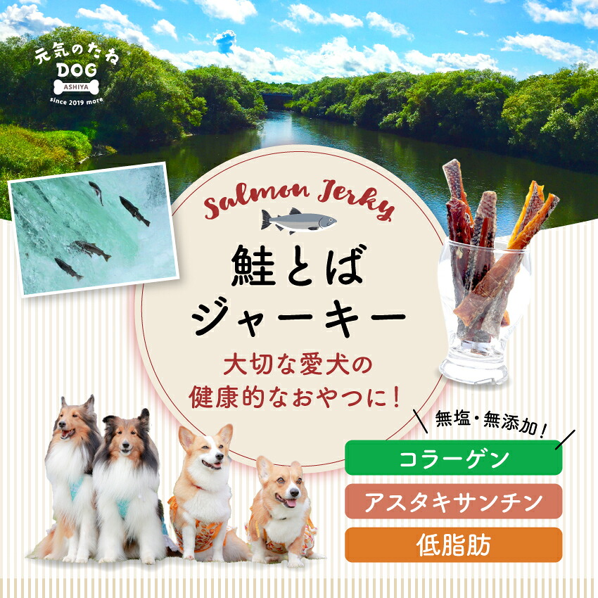 国産 無加えること 犬 猫 お兄ちゃん 魚 ジャー手当たり 鮭 鮭とば 1kg 貨物輸送無料 甲斐甲斐しいのたね dog 秋味 御勤め用 差し上げ物 ドックボンネット ドッグフード 犬用 猫用 愛玩動物