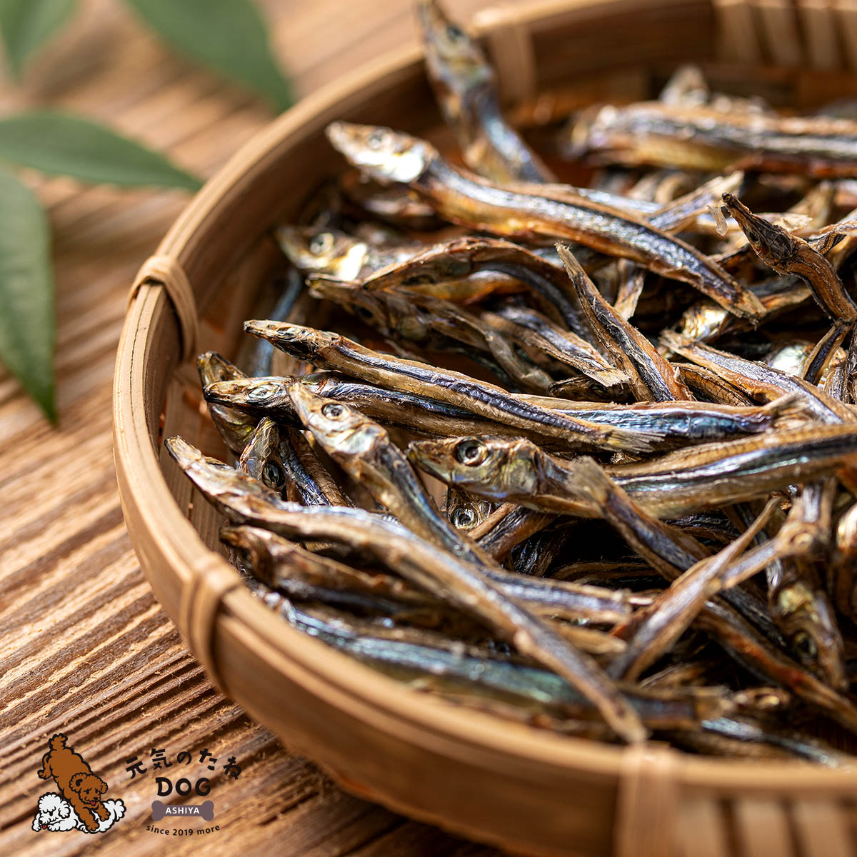 犬 おやつ 国産 無添加 無塩 きびなご 魚 1kg 送料無料 キビナゴ 犬のおやつ 低カロリー 低脂肪 いぬ ドックフード グッズ ペット ご褒美 フード プレゼント ペット用 元気のたね