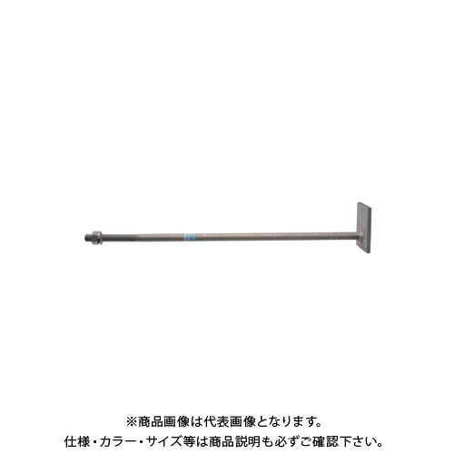 タナカ 偏芯座金付ボルトII ECO L\u003d700 (10本入) AF5H70ET