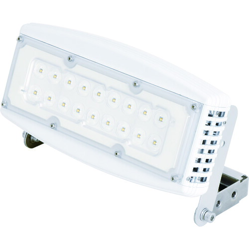 【貨物輸送別途】【直送品】日動 四角いともし火50W ワット数備えつける一体型 吊下げ型 昼光色 広広とした LEIS-50V2-J110-60K 花・ガーデン・DIY-その他-DIY・工具