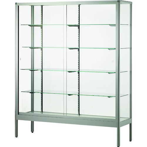 【送料別途】【直送品】ハヤノ フォルティッシュ ハイケース シルバー プッシュ錠付1800×600×H1500 R18605S-P