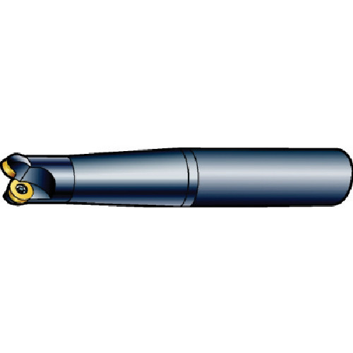 SANDVIK コロミル300 向こう正面フライス裁断師(440) R300-016A20L-08L