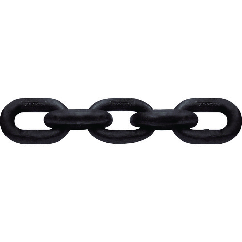 【送料別途】【直送品】CM チェーン 1インチ 30M CM 1