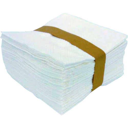【貨物輸送別途】【直送品】ノア 2PLY白 103472