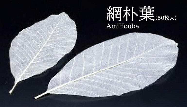 網朴葉 (M) 50枚入　～和のおもてなし～ 料理 飾り 器 皿 演出 和食 和風 懐石 日本料理 業務用 和食器 食膳 ]。