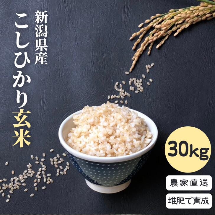 70％OFFアウトレット sora様専用 農薬無し純こしひかり30㎏ 玄米 en