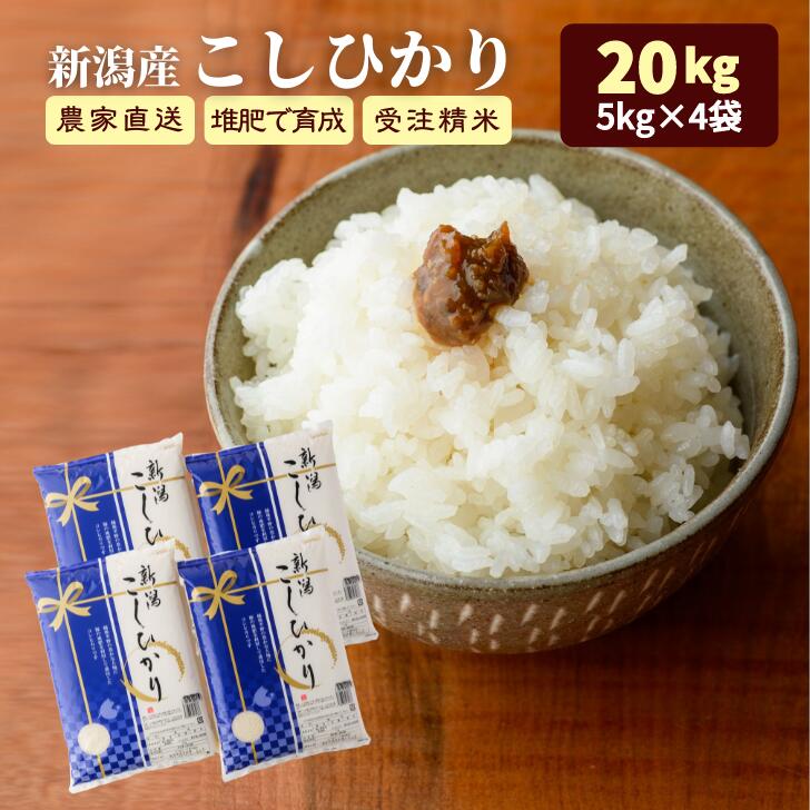 楽天市場】【新潟米三昧 お試しセット】新潟 コシヒカリ 新之助 こしいぶき 6kg 2kg×3銘柄 米 ご注文をお受けしてから精米します 農家直送  送料無料 (本州のみ) おためし 白米 コメ 受注精米 新潟県産 実用的 食べ物 : キッチンガーデン・とみおか