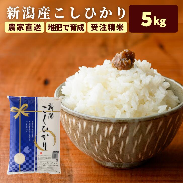 父の日 お祝い返し お米 新潟 コシヒカリ 米 5kg 1等米 送料無料 (本州四国のみ) 減農薬 お米 5キロ 令和6年産 新潟県 ギフト 美味しい 農家直送 こめ コメ 白米 精米 内祝い 出産 香典返し niigata kh r4 r4s 2n 3n 50y 60y gf ssss