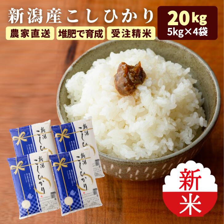 楽天市場】新米 令和4年 5キロ 令和4年産 新潟 米 5kg 送料無料 (本州のみ) コシヒカリ 5kg 受注精米 農家直送 備蓄 贈答用 甘い  白米 ギフト こしひかり コメ 新潟県産 グルメ 食べ物 実用的 減農薬 kh r4 : キッチンガーデン・とみおか