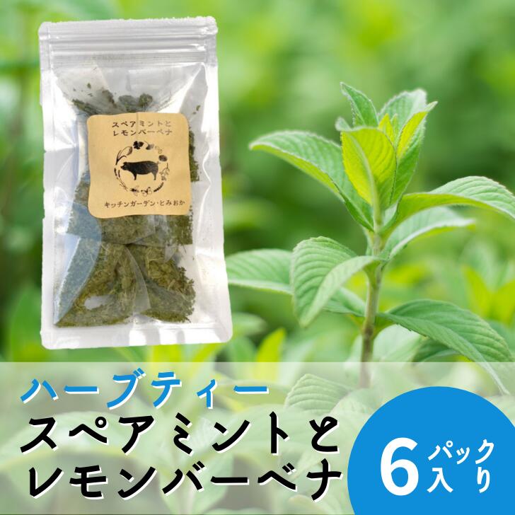 新奇発売 自ら製草本御茶 ペパーミントとレモンバーベナ ハーブティー ティー御徒面子 6包み スペアミント レモンバーベナ 自家栽培所 新潟県産む ハーブ庭 無し添付 お取り寄せ 手土産 奉呈 国産 贈答 Hotjobsafrica Org