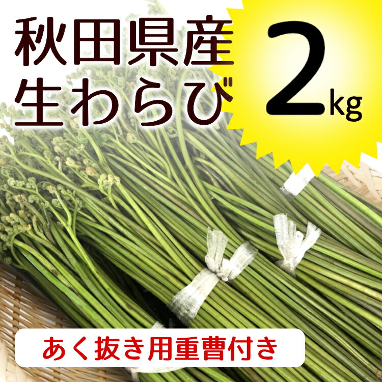 楽天市場】山形県産 山菜 天然わらび 蕨 生ワラビ 生わらび 2kg 送料