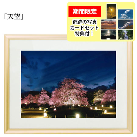 まま❀最高幸運奇跡九頭龍❀オススメ特別価格 龍が如く 維新！ 極のグッズがプライズ商品として登場！Twitter