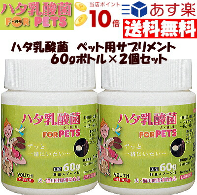 楽天市場】ハタ乳酸菌 ２箱セット 世界特許取得商品 送料無料 10倍ポイント あす楽 送料無料（２か月分）ＬＣＨハタ 乳酸菌 美と健康を追求した！乳酸菌  : Kiwi Wellness Shop キオラ