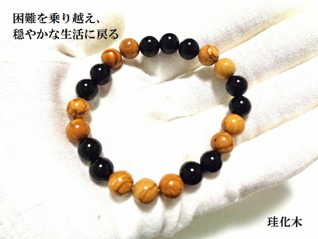 ★珪化木【木の化石】 ペトリファイドウッド パワーストーン 希少 レア Amazon.co.jp: 珪化木木化石13.3kg忍耐継続と平常心の