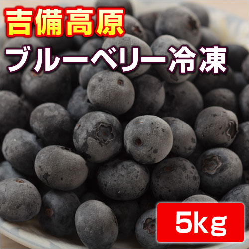吉備高原ブルーベリー　５ｋｇ　 【冷凍】【他の商品と同梱不可】